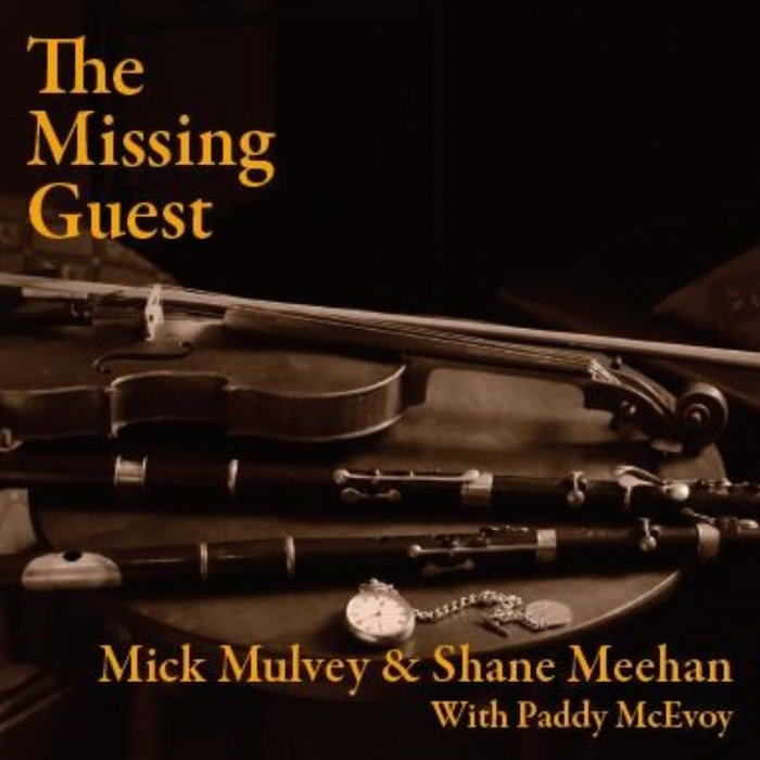 Mick Mulvey & Shane Meehan with Paddy McEvoy on Bandcamp
