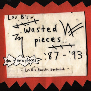 Lou Barlow — wasted pieces (with even -more- pieces!)Lou B's Acoustic Sentridoh