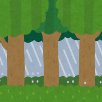 北の丸公園 - 枯れ葉に降る雨【HPL】 cover art
