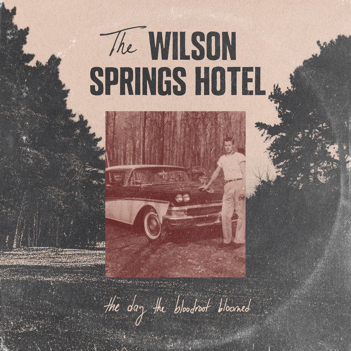 The Day The Bloodroot Bloomed | The Wilson Springs Hotel