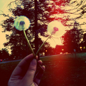 Blist Her — Glimmer
