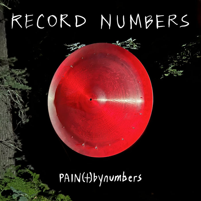 Record Numbers | PAIN(t)bynumbers