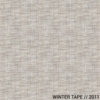 Winter Tape 2011 Cover Art