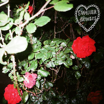 summer bruises cover art