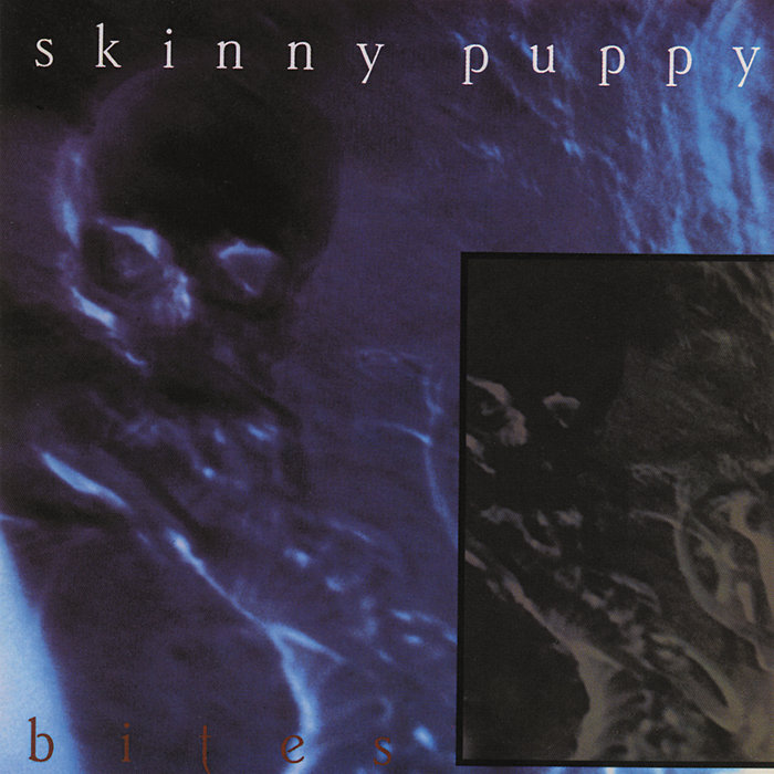 Assimilate, by Skinny Puppy