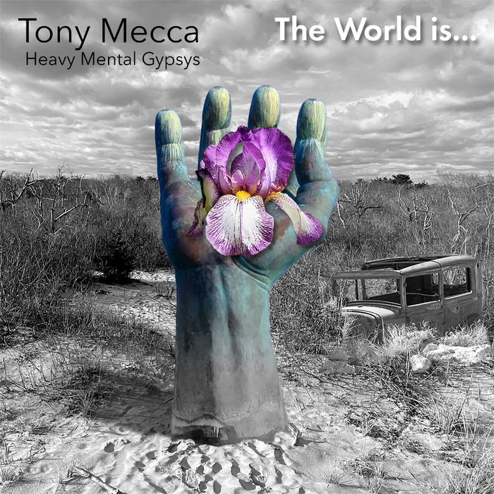 The World Is Tony Mecca