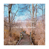Lost In The Marsh cover art