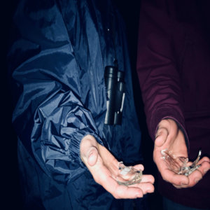 As a Broken Piece of Glass (Single) cover