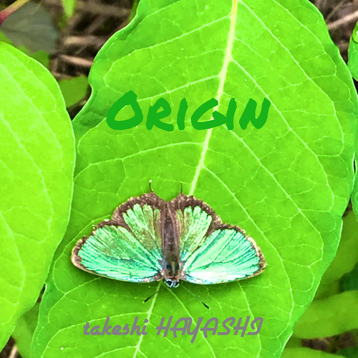 Origin takeshi HAYASHI