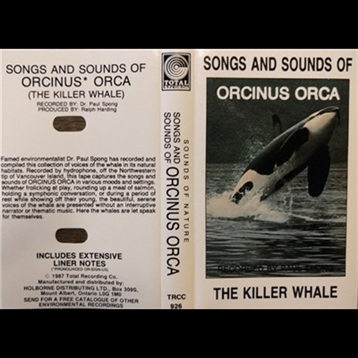 Songs And Sounds Of Orcinus Orca The Killer Whale | Orcinus Orca (3)