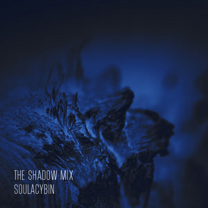 The Shadow Mix cover