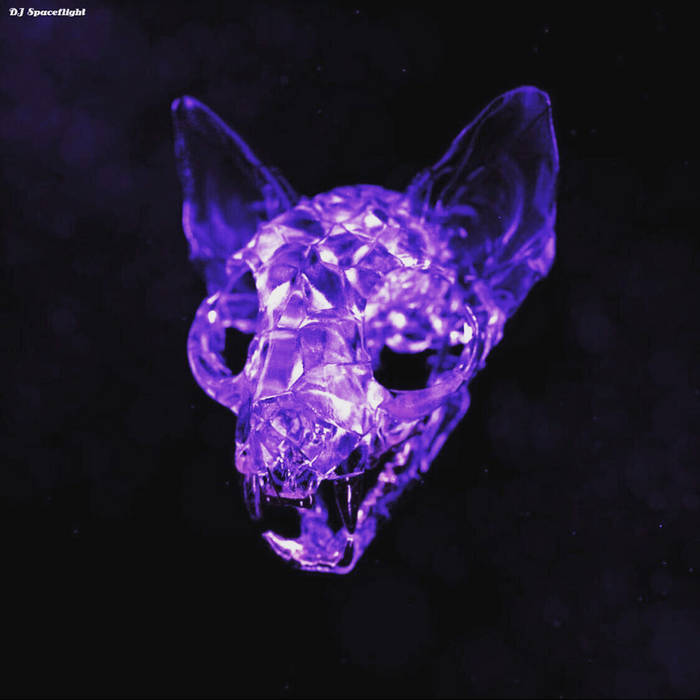 Crazy Beautiful Blackout (Chopped Screwed) Darci DJ Spaceflight