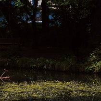 Deep Consciousness cover art