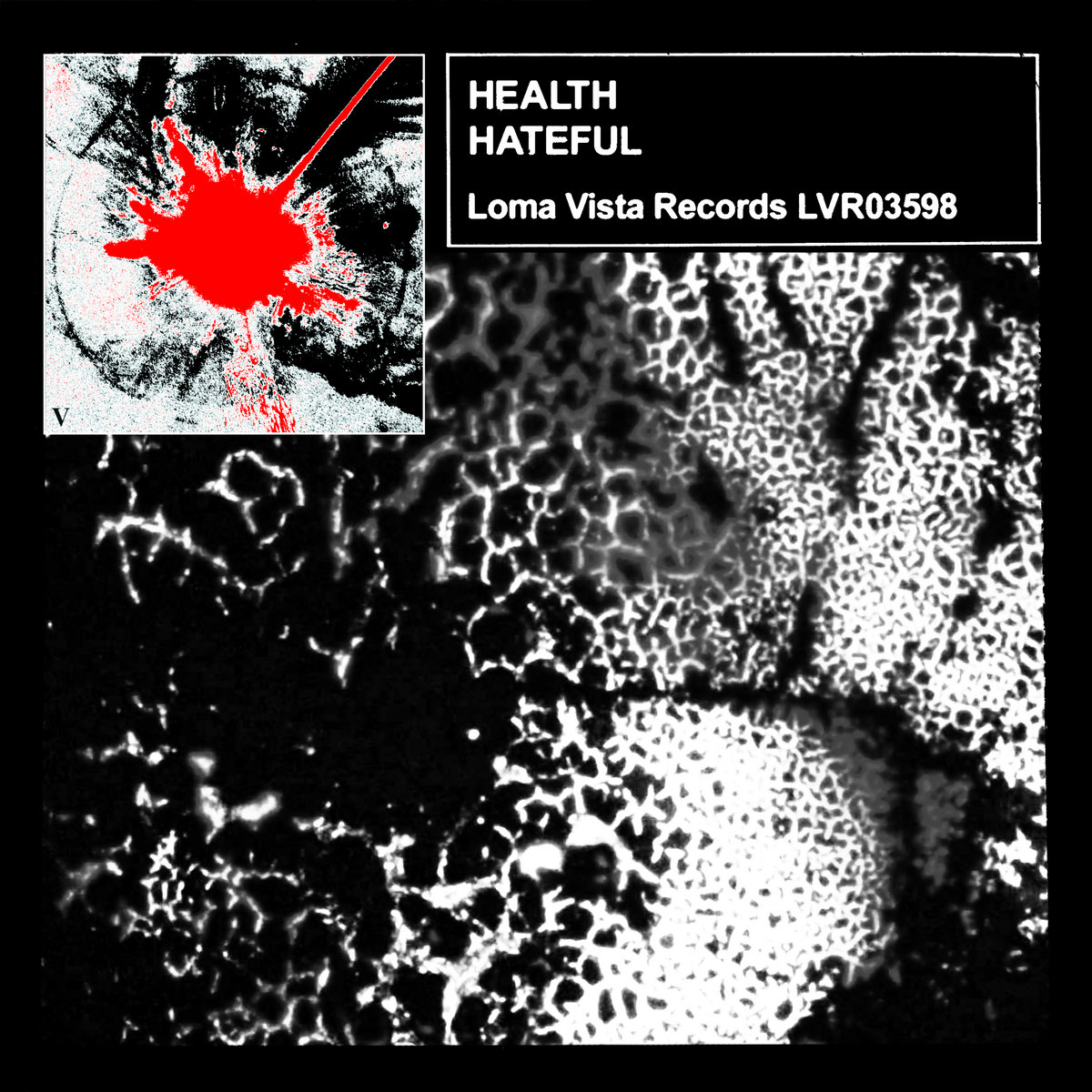HATEFUL by HEALTH