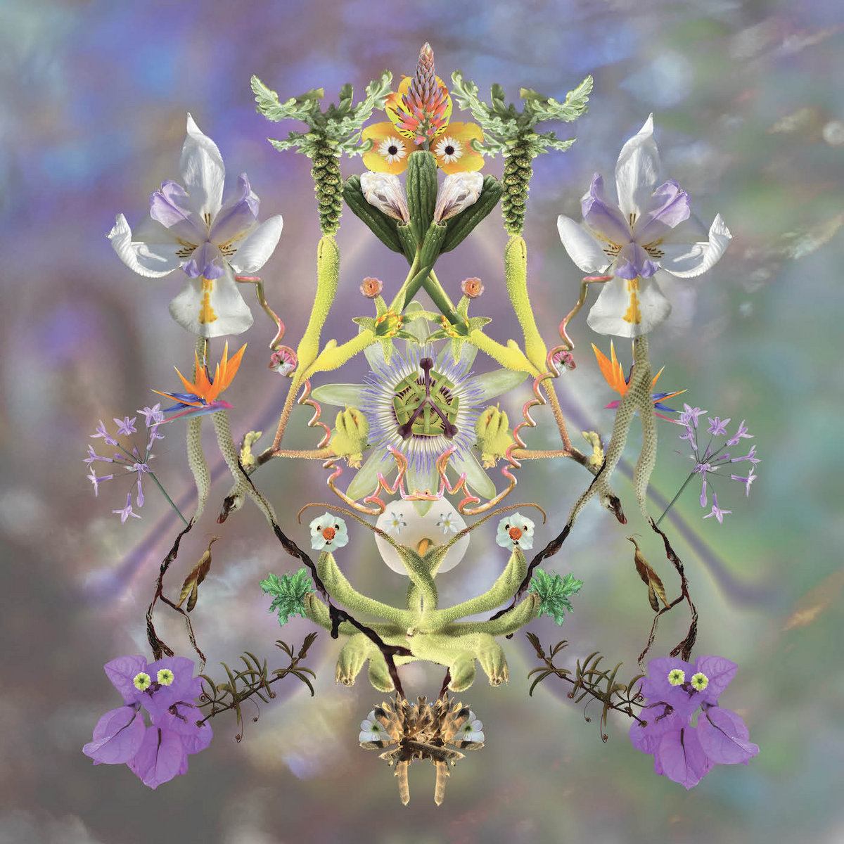 Sumer Is Icumen In | Maibaum | KRAAK