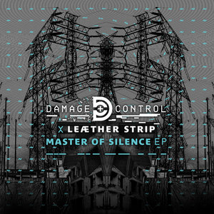 Master of SilenceDamage Control & Leaether Strip cover