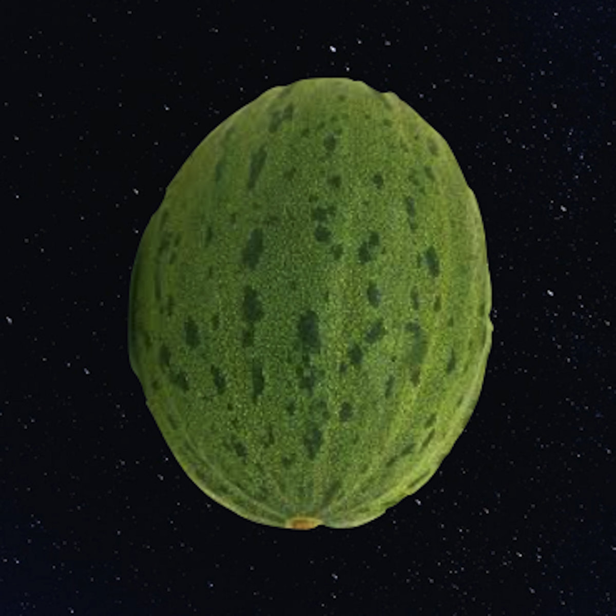 Tide's High Marshmellow Overcoat