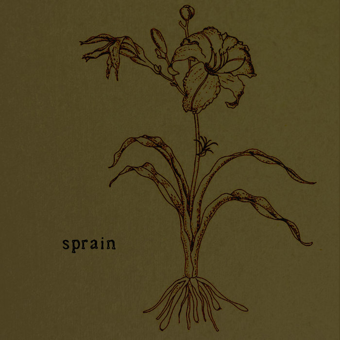 True Norwegian Black Metal | Sprain