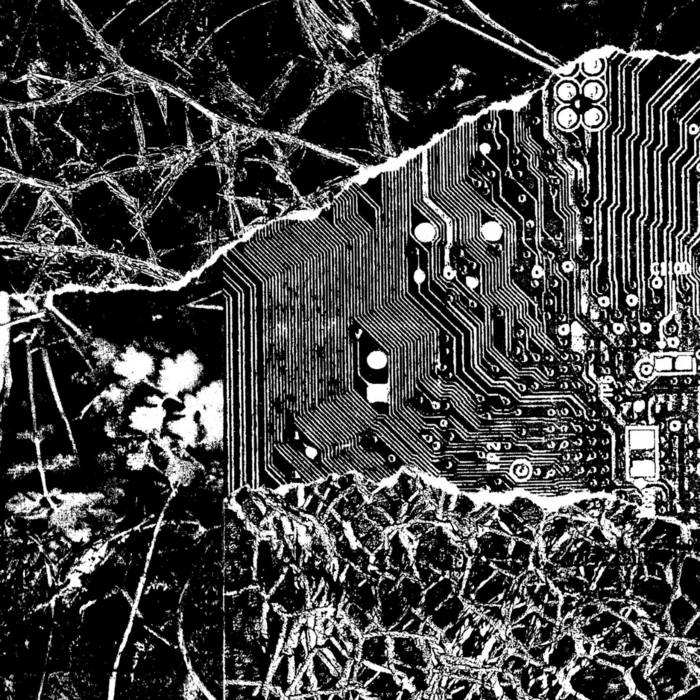 DEMO (2023) | Decultivate