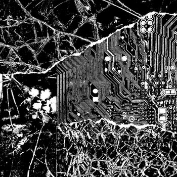 DEMO (2023) | Decultivate