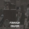 Formalin Orgasm (INSTRUMENTAL EP - 2023)