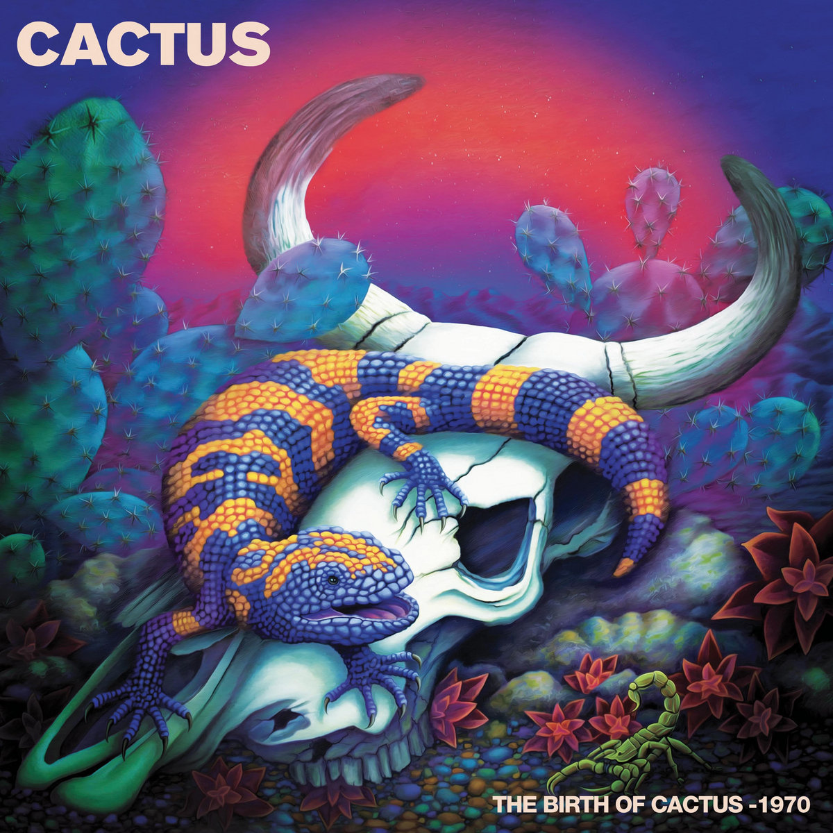 The Birth Of Cactus - 1970 | Cactus