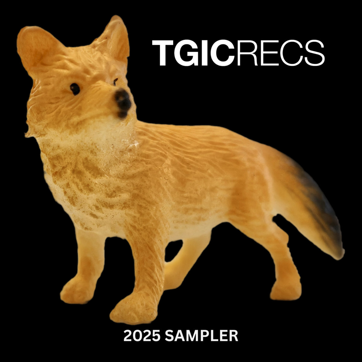 2025 Sampler | TGIC RECS | The Ghost Is Clear Records