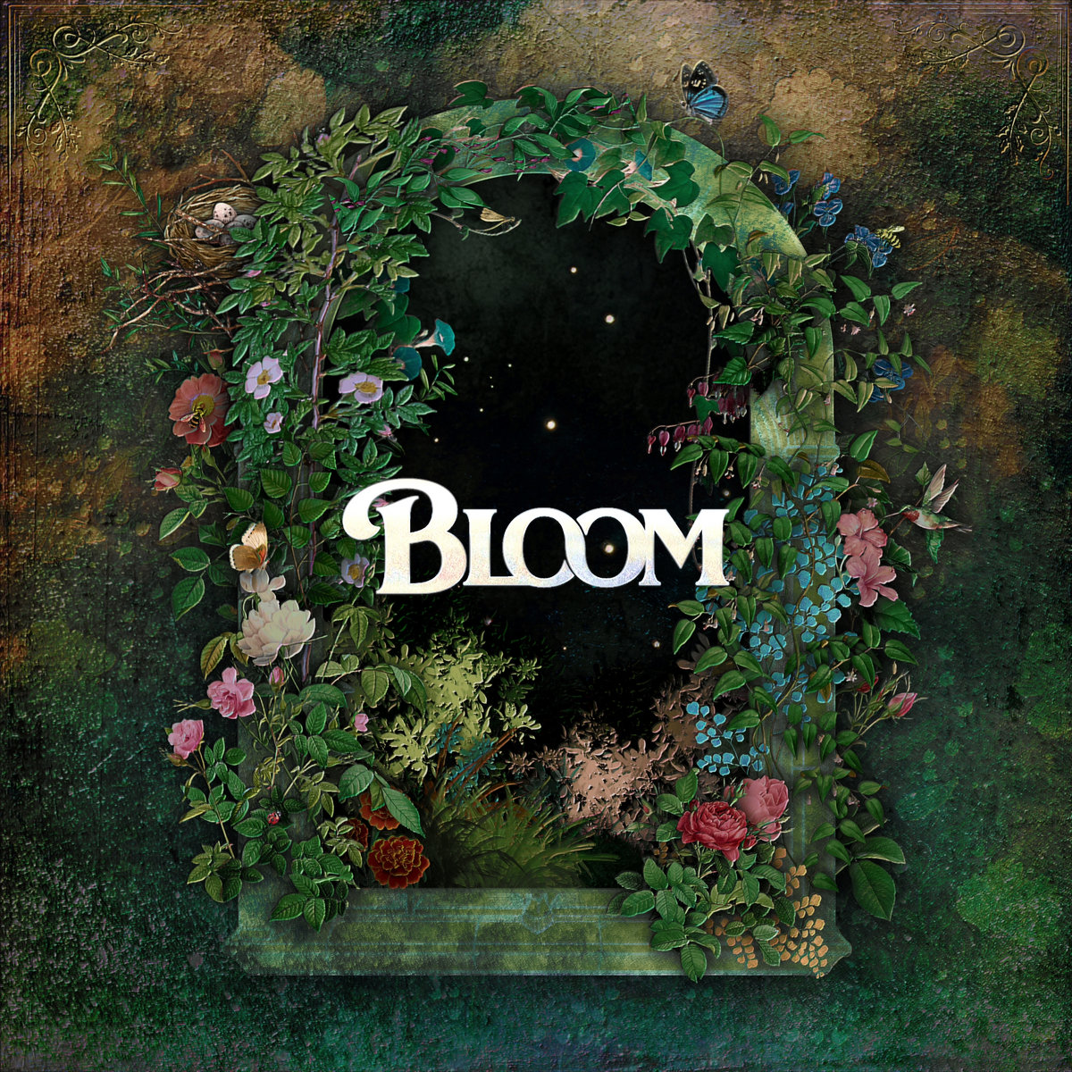 Bloom | Raynes