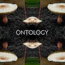 Ontology cover art