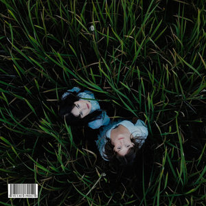 Vox Rea — Grass