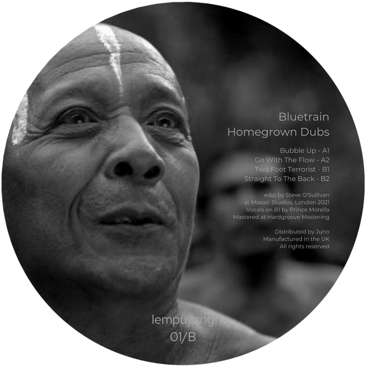 Homegrown Dubs | Bluetrain | Lempuyang