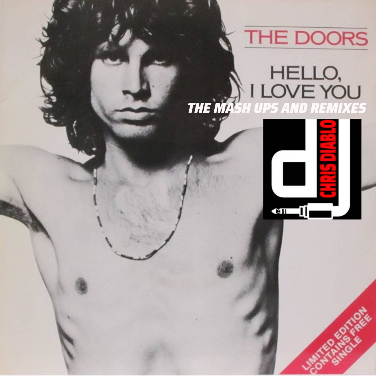The Doors Hello I Love You The Mash Ups And Remixes Dj Chris Diablo