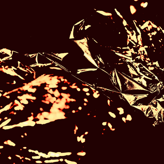 Still Trees by the Lake