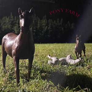 pony farm cover