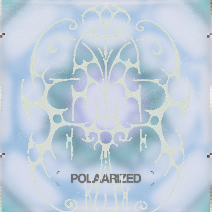 Polaeizable POLAARIZED | POLAAR