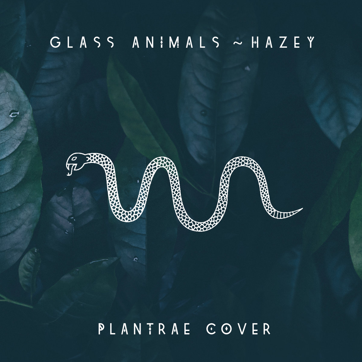 Hazey - Glass Animals (Cover) | PLANTRAE