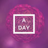 A Day