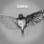 Sodium - Every Stone Made Me Stumble