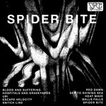 Spider Bite
