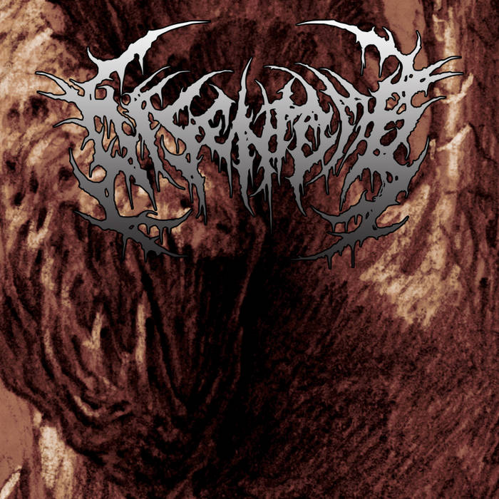 Disentomb | Promo 2012 cover art