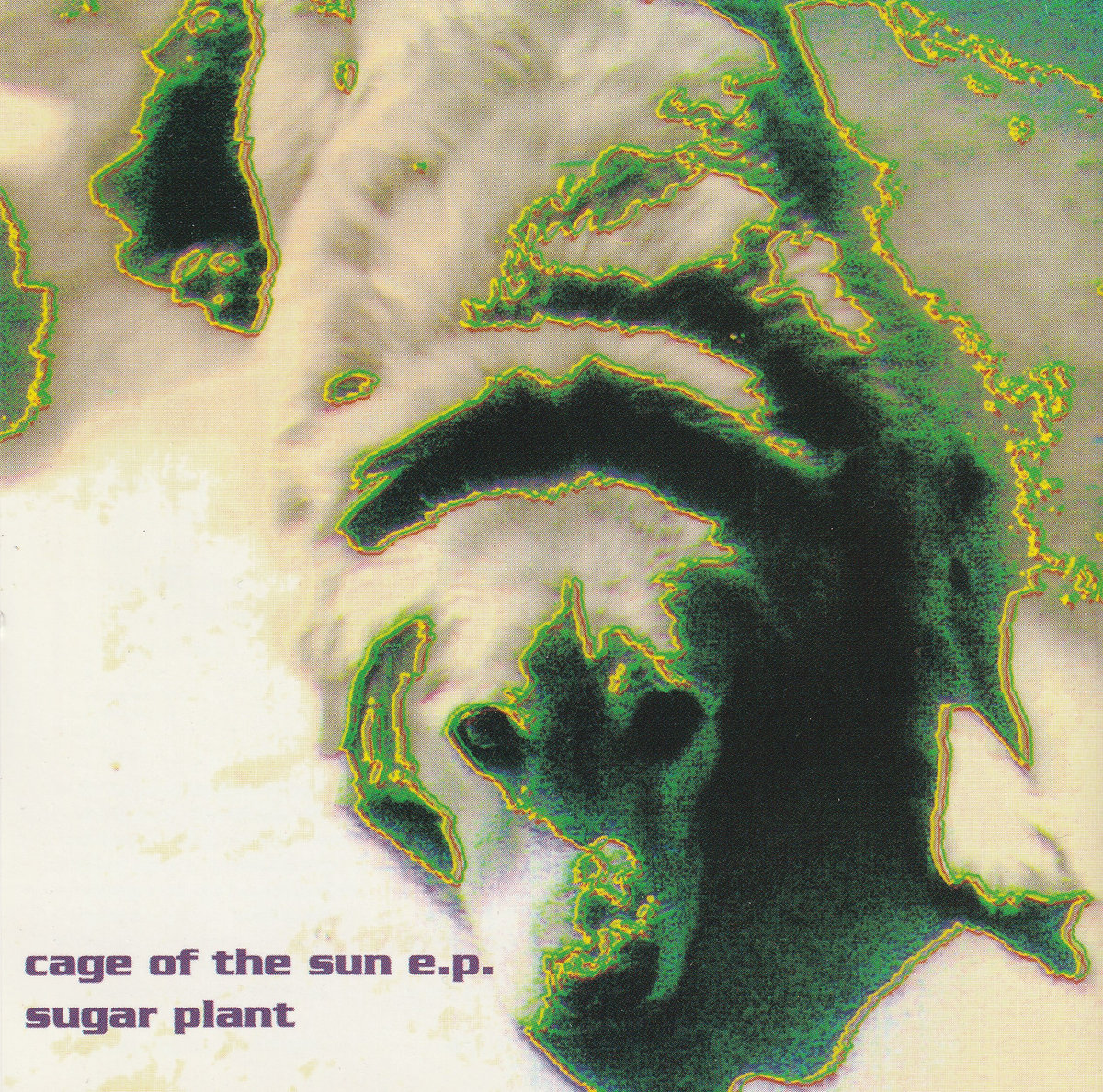 cage of the sun & early songles | sugar plant | KiliKiliVilla
