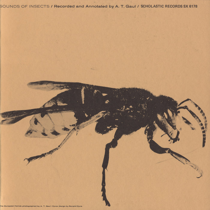 Sounds of Insects | Albro T. Gaul | Smithsonian Folkways Recordings