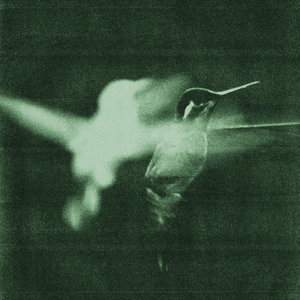 Wings of Desire — Your Twenties