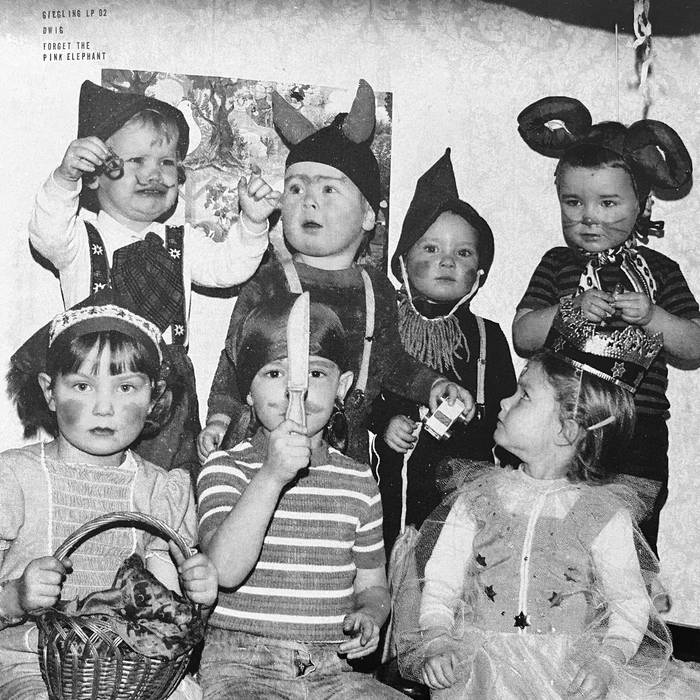 その他 Dwig Forget The Pink Elephant 2LP 12\