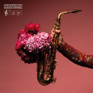 THE ETERNAL TENURE OF SOUND: DAMAGE CONTROLGARY BARTZ AND NTU cover