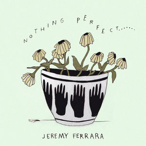 nothing perfect cover