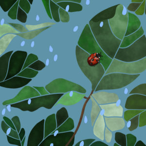 Ladybug in Rain cover