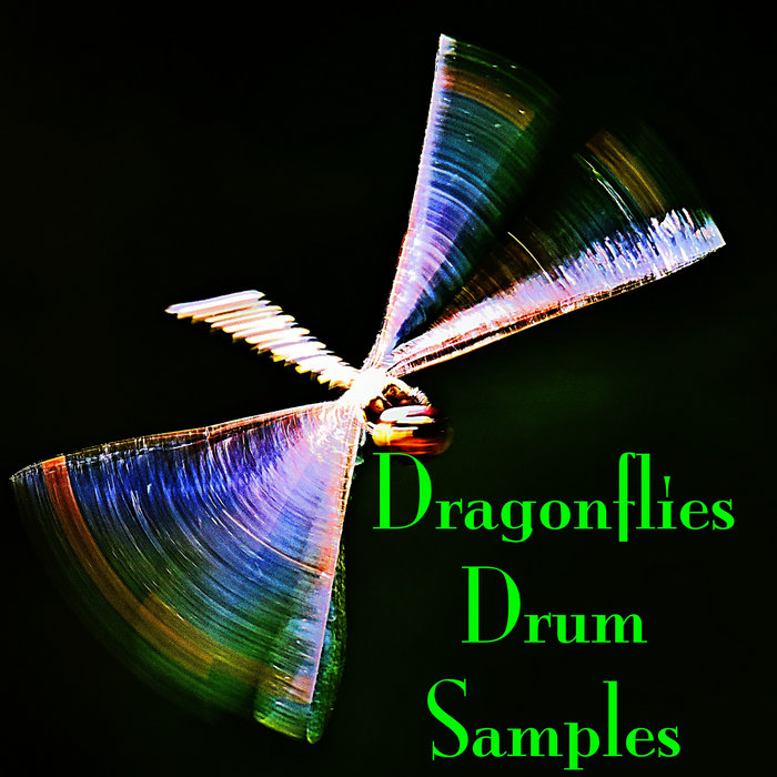 Dragonflies Samples | Drum Samples by Shivananda Ishaya