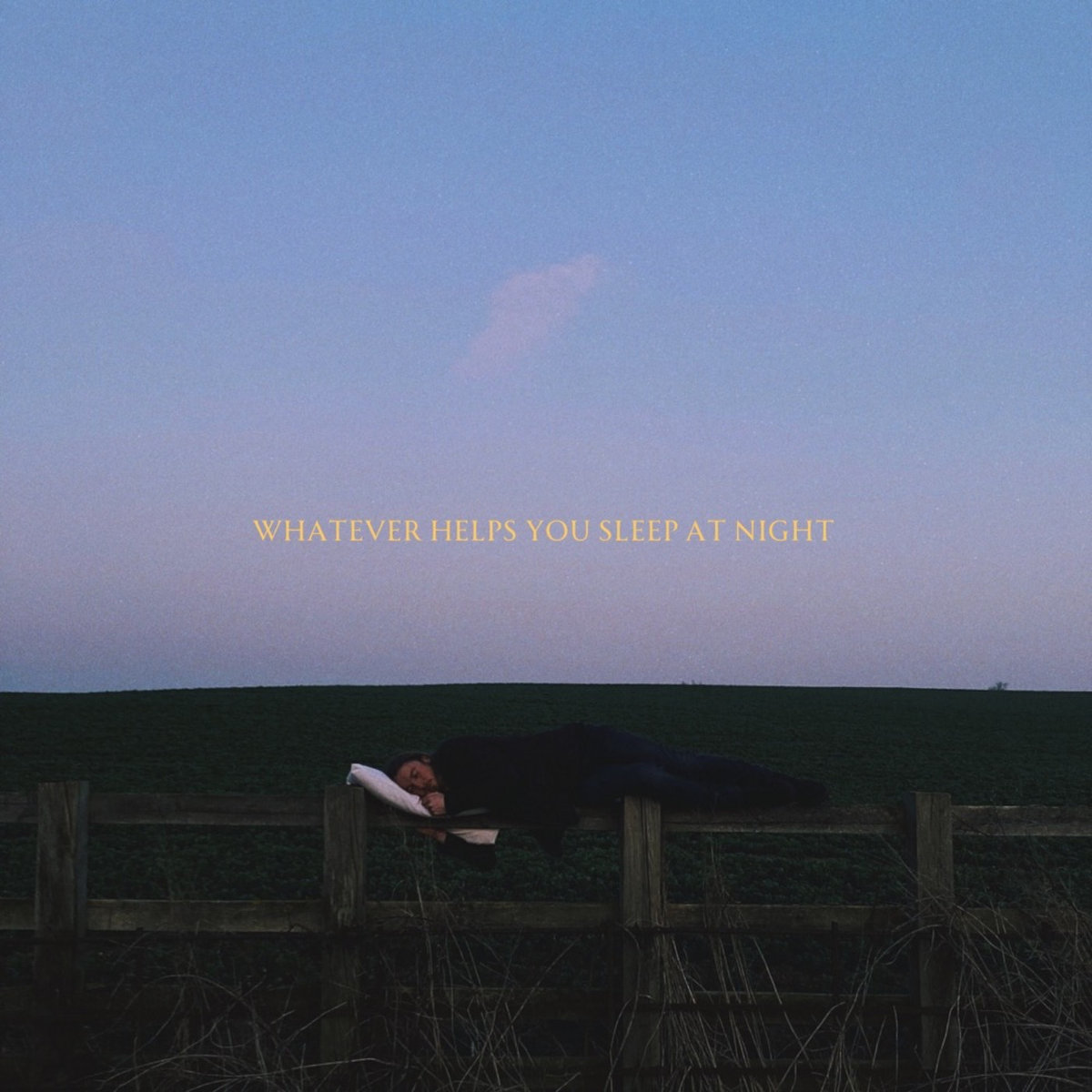 Tim Ferriss Interviews Arnold Schwarzenegger on Psychological Warfare (And  Much More) (#60) - The Blog of Author Tim Ferriss, image size:1200x1200