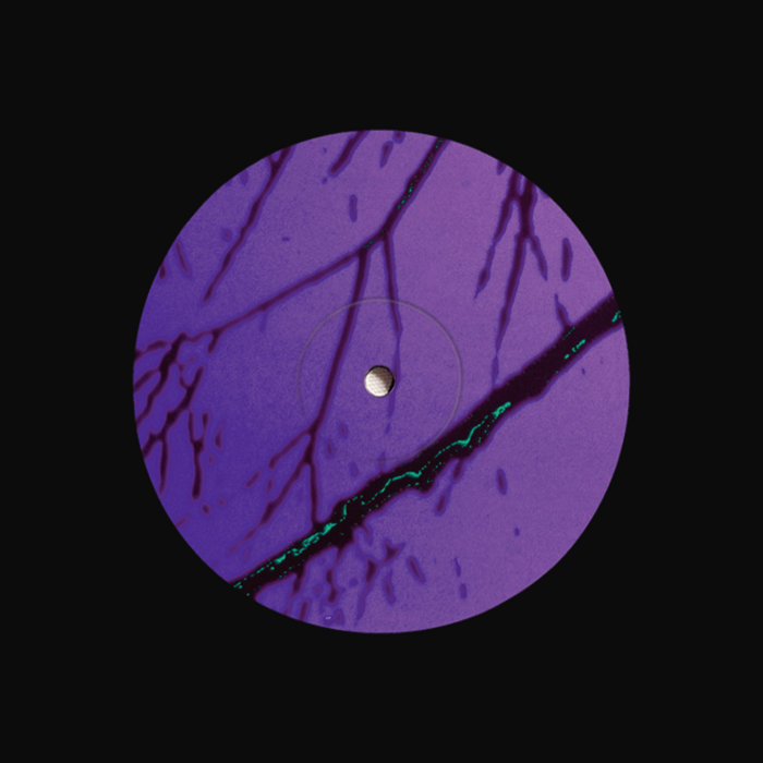 Pochette de Cybernetic Ecology EP par Wavefront Insurgency
